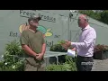 Louisville NOW Segment - Valley Station Jiggs Fruit Market