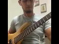 Mc Tocha feat Mc Sheldon - Brega Louco (Bass Cover)