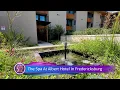 The Spa At Albert Hotel Fredericksburg Luxury Hill Country Wellness