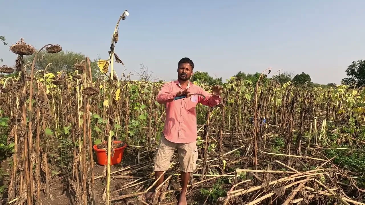 आता भरपूर वेळ आहे