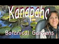 Van Life Road Trip Kanapaha Botanical Gardens to O Leno Gainesville Florida