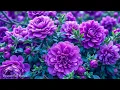 Download Lagu Muziek ontspant het zenuwstelsel en verbetert het geheugen 🌿 Sergey Grishchuk Muziek
