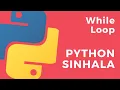 Python Sinhala Part 22 - While Loop