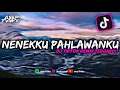 Lagu DJ NENEKKU PAHLAWANKU BOOTLEG || DJ TIKTOK REMIX TERBARU