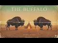 Lagu The BUFFALO - SPIRIT WIRES  [Full Album] (70s Psychedelic Stoner Space Rock)