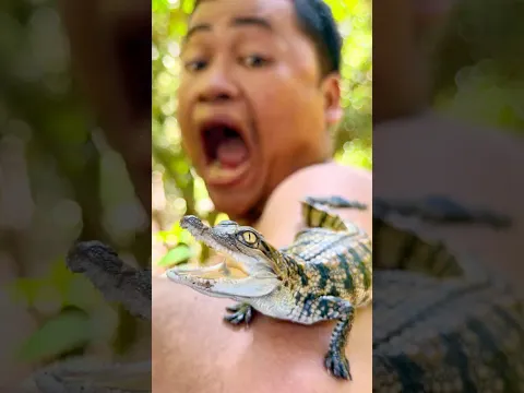 Satisfying Crokodile Removal Hacks for Survival in the Forest