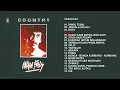 Download Lagu IWAN FALS - ALBUM COUNTRY | HQ AUDIO | LAGU NOSTALGIA LEGENDS