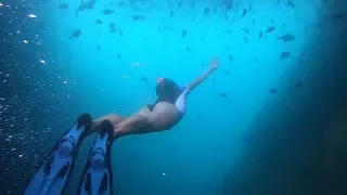 SAILING amazing REMOTE New Zealand ISLANDS – Ep 31