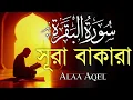 ঘরের উন্নতির জন্য সূরা বাকারা প্রতিদিন শুনুন I Surah Al Baqarah Full Quran Recitation | Alaa Aqel
