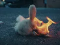 Clarion - Cover Me