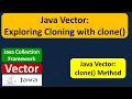 Java Vector Exploring Cloning with clone Java Collection Framework