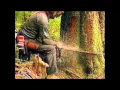 Download Lagu Coldcut \u0026 Hexstatic - Timber (Future 3 Rework)