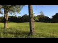 Appleton Farms Evening