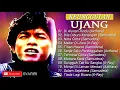 Download Lagu Keunggulan Ujang (Axthara/Samudera/X-Ray)