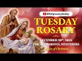 Lagu TUESDAY HOLY ROSARY ❤️ DECEMBER 30, 2025 ❤️ THE SORROWFUL MYSTERIES OF THE ROSARY [VIRTUAL]