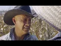 Muerte el Dia de San Juan🎬 Película Completa en Español Estreno 2025 Lo Mejor del Cine Mexicano