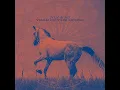 Year of the Horse