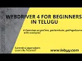 getText getPageSource getTitle with examples WebDriver Tutorial in Telugu