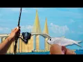 How To Find New Fishing Spots In Tampa Bay Florida