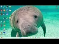 Git and GitHub Tutorial Part 3 - Creating a New Repository and Cloning
