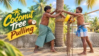 8610339350 coconut tree pulling in Nagercoil 