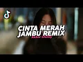 Download Lagu DJ CINTA MERAH JAMBU REMIX VIRAL FYP TIKTOK TERBARU 2025! Akbar Chalay