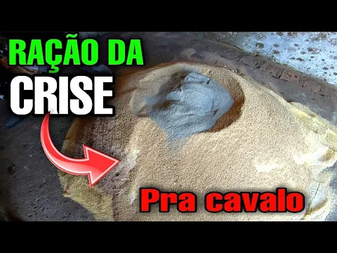 Download MP3 RAÇÃO PRA CAVALO - passo a passo como fazer uma ração boa e barata pra seu cavalo - RAÇÃO DA CRISE.