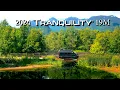 2024 Tranquility 19M Camper Van With Rear Storage