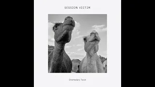 Session Victim - Dromedary Twist