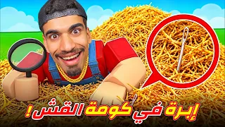 بحثت عن ابرة في كومة القش !!