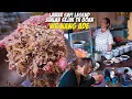 Download Lagu SEKALI BUKA HABIS 8 KG LAWAR SAPI - WARUNG NANG ADE - JUALAN SEJAK 1980