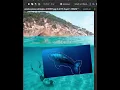 How to blend and merge two diffrent layers in photoshop 2024