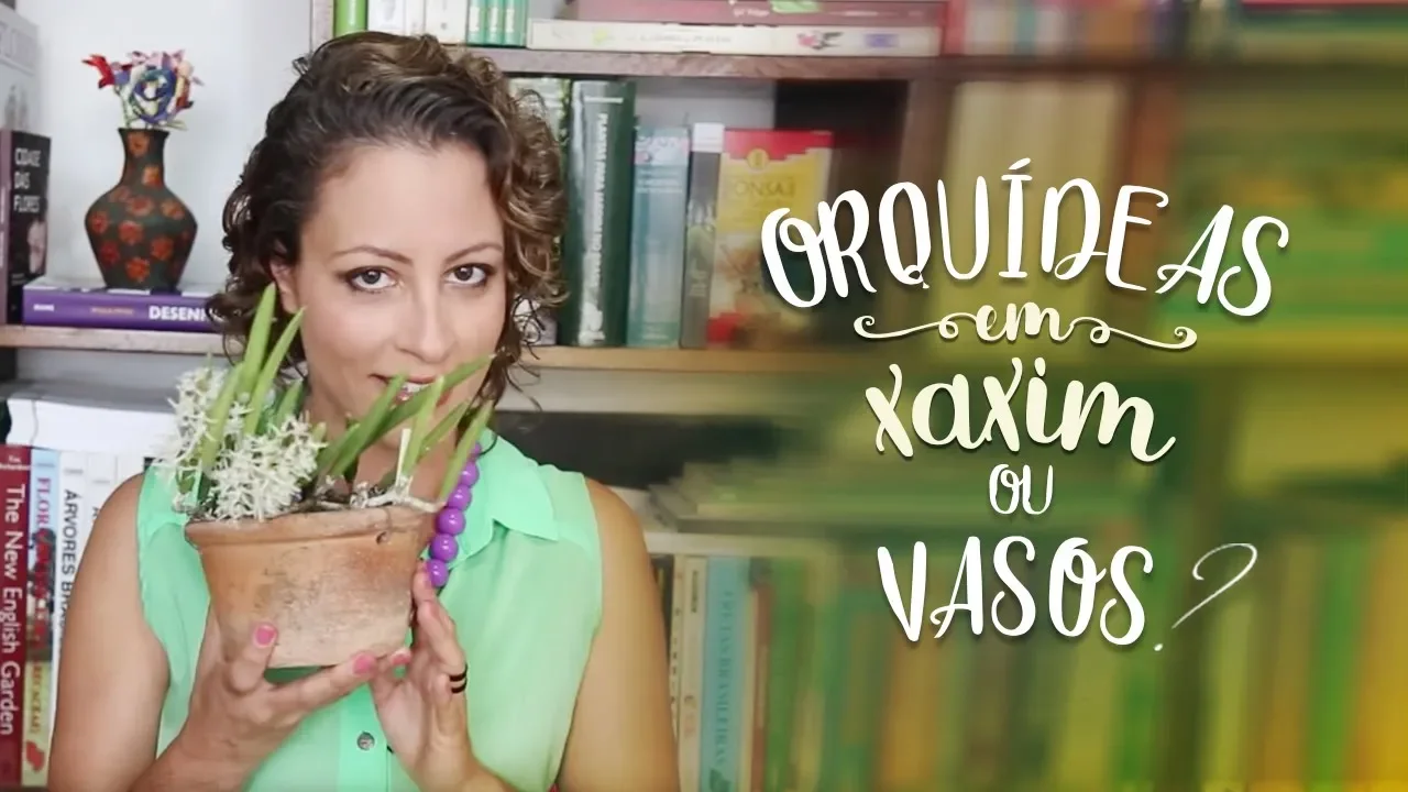 VASO DE XAXIM É O MELHOR VASO PARA PLANTAR ORQUÍDEA?
