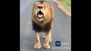 SAUTI YA SIMBA INATISHA Don T Forget To Subscribe 