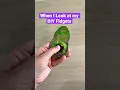 When I Look at My DIY Fidget Toys Mrs Bench