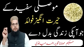 موصلی سفید کےوہ فوائد جوآپ کوکوئی نہیں بتائےگا بدن کو فولادی مضبوطی فراہم کرے 