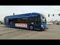 Pace Bus 2020 New Flyer XD40 20461 On Rt 302