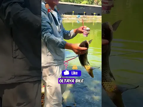 Dondurma Yiyen BALIKLAR! 🐟🤣