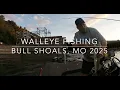 2025 Bull Shoals Lake Winter Walleye is picking up