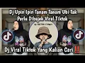 DJ UPIN IPIN TANAM TANAM UBI TAK PERLU DI BAJEK SOUND VIRAL TIKTOK 