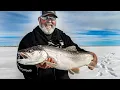 The MONSTERS of Fort Peck Lake Best Lake Trout Fishing Trophy Lakers In-Depth Outdoors S14 E17