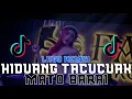 Download Lagu DJ HIDUANG TACUCUAK MATO BARAI || DJ REMIX MINANG TERBARU FULLBASS