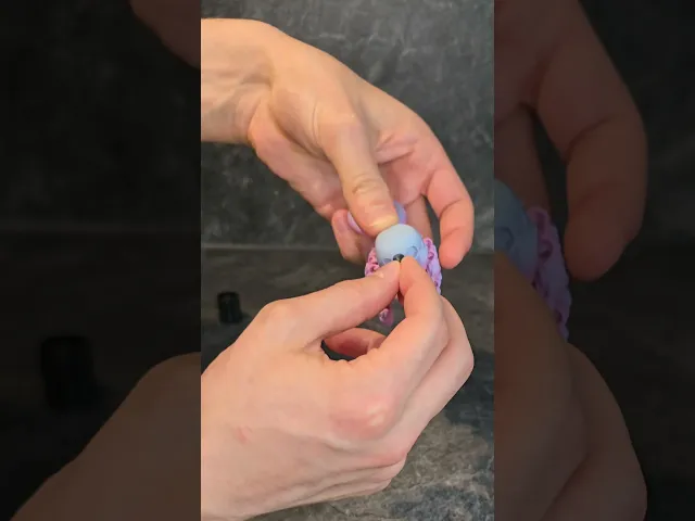 Baby peacock spider video thumbnail