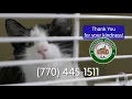 Paulding Animal Needs YOU