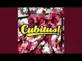 Download Lagu Hey Kamu