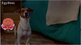 نسخة عن اقوى مشهد من فيلم The Mask 1994 مترجم كامل HD القناع الأخضر 