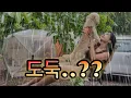 Download Lagu 아무도 없는 숲속 새벽  텐트안으로 몰래 찾아온 손님으로 기절 직전😱 | 요란한 번개소리와 빗소리ASMR  | 밤새고 먹는 찹쌀누룽지와 묵은지 김치