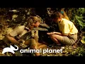 Steve Handles Leaping Lizards The Crocodile Hunter Animal Planet
