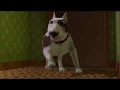 Stupid Dog Toy Story