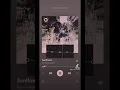 Download Lagu Rex Orange County - Sunflower (slowed)
